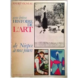 Une brève histoire de l’art de Niepce à nos jours, par André Vigneau, Robert Laffont